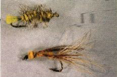 K11- Bumble Bee - Ken's Long Tailed Yellow Hornet - $5 each